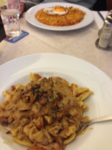 Spatzel and a hashed browns-with-eggs meal. Switzerland does not joke around it was around $20 per plate with no meat!