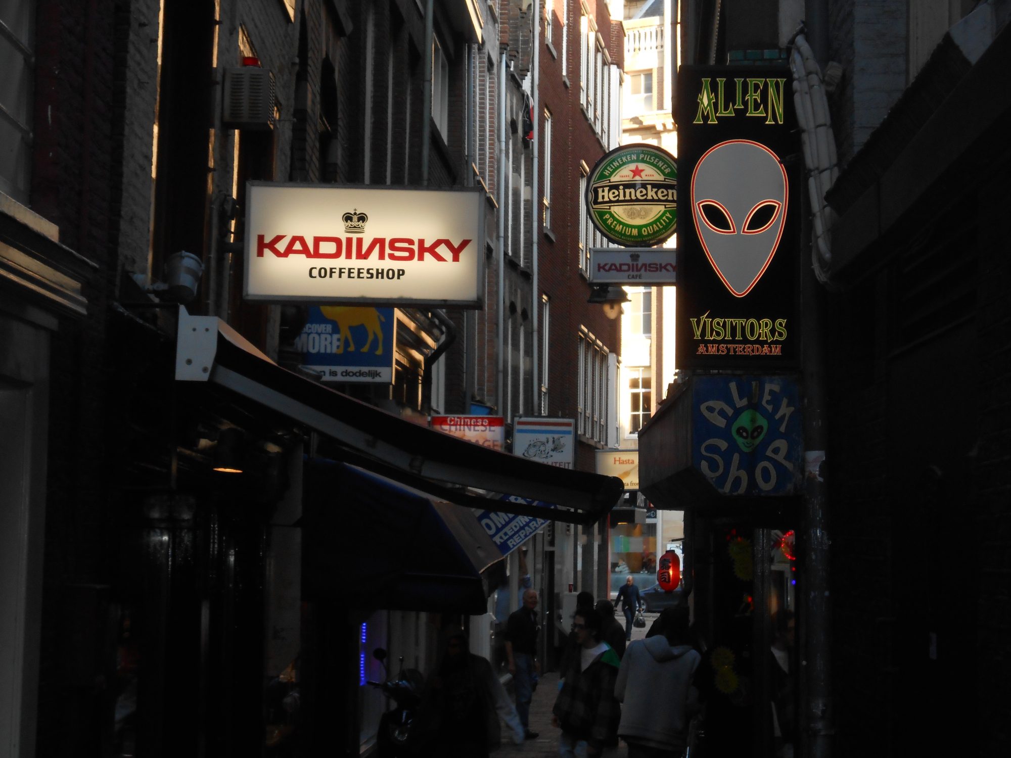 alleyway with shops in the city center