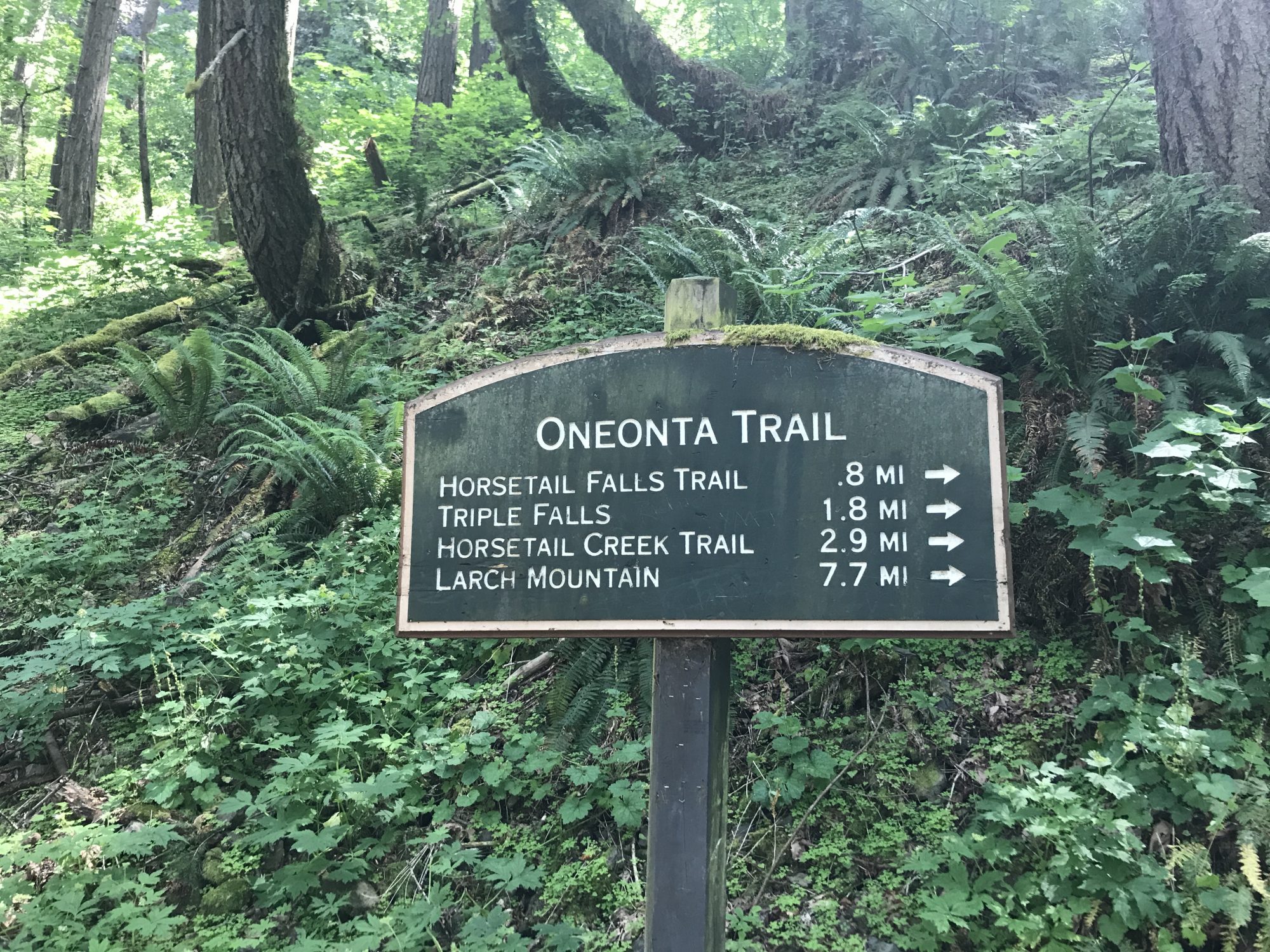 trailhead sign of the Oneonta Trail and directions (Portland OR)